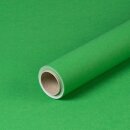 Gift wrapping paper green 0.70 x 10 m, recycled paper &ndash; Birthday &amp; Christmas