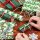 Geschenkpapier Ilex, cremefarben, Geburtstagspapier, Weihnachtspapier, 0,70 x 10 m