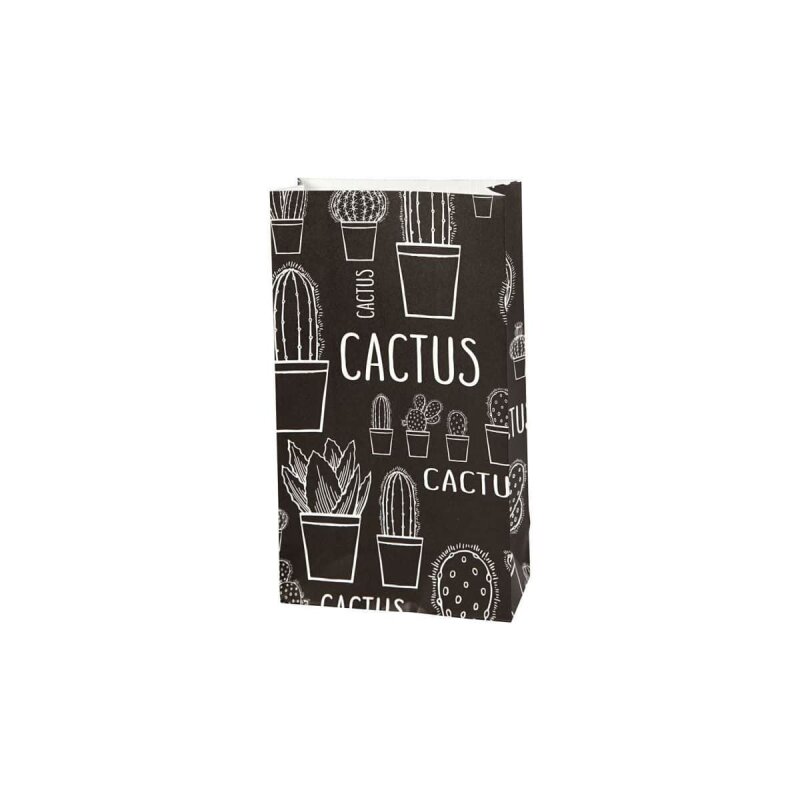 Geschenktten Kaktus 21 x12 x 6 cm kaufen