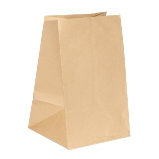 Gift bag 24 x 22 x 38 cm, natural brown kraft paper 120 m², bottom bag Pack/10pcs.