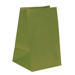 Gift bag 24 x 22 x 38 cm, green kraft paper 120 m², bottom bag Pack/10pcs.