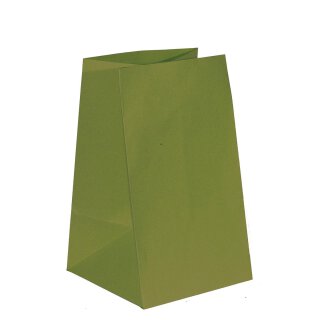 Geschenkbeutel 19 x 19 x 32 cm, Grün, Kraftpapier - 10er Pack