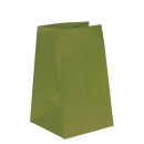 Gift bag 19 x 19 x 32 cm, green kraft paper 120 m²,...