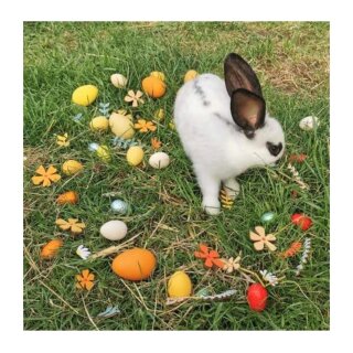 Holz Blumenstrauß 10-teilig - Wilde Blumen 20-30cm Für Deko & Basteln Made In Germany