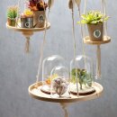 Glasglocke mit Holzboden, 9 x 13 cm, f&uuml;r Deko und Miniturwelten