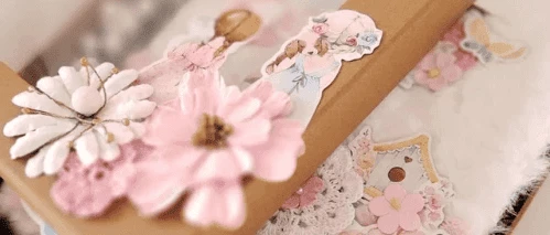 PinkeFensterboxPink.webp