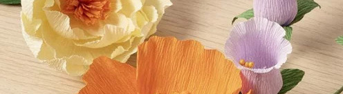 blumen-aus-krepppapier-lernset3.jpg